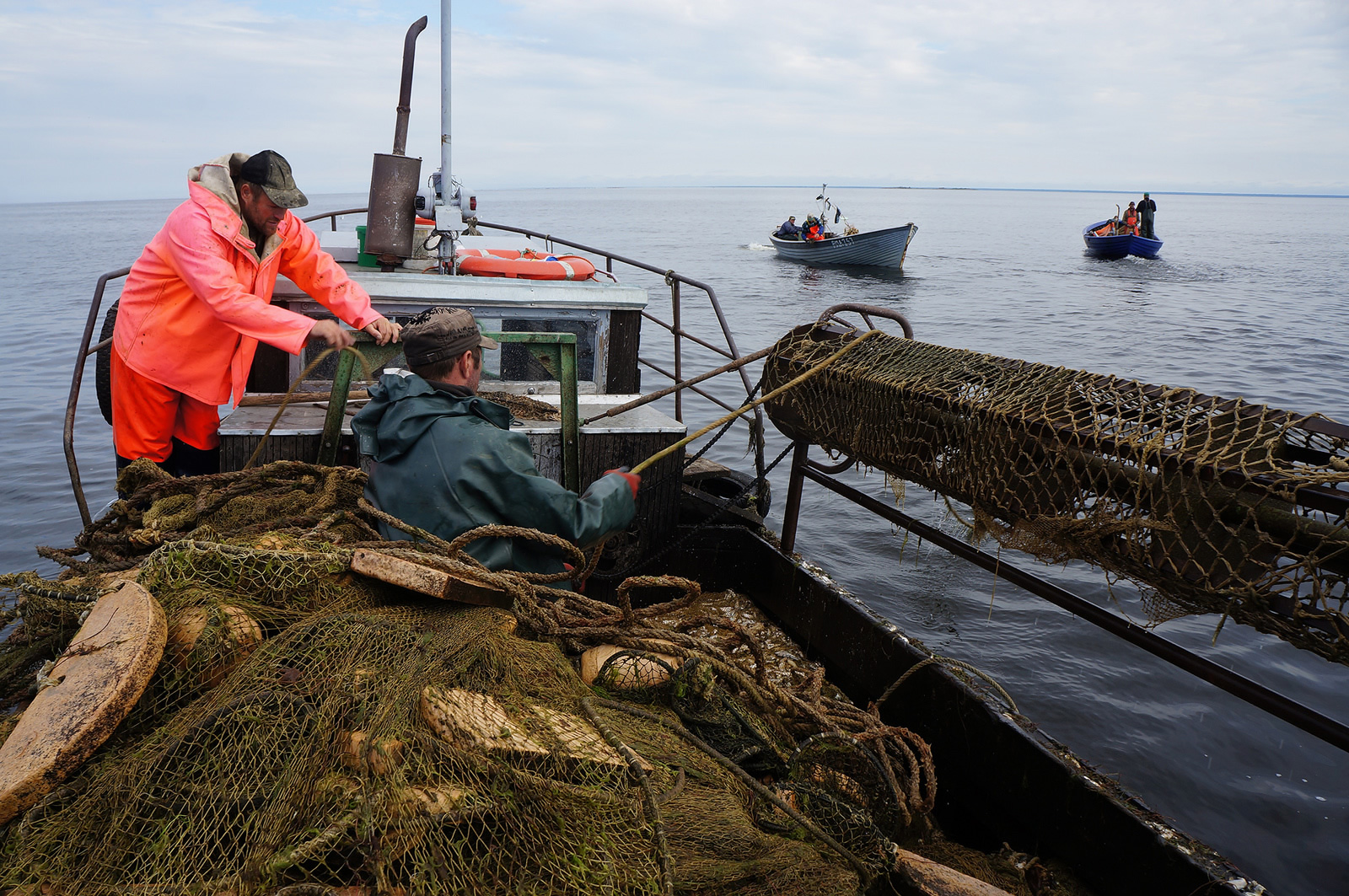 Kihnu Island, Estonia_taking out Baltic herring fyke nets.J.Plaan