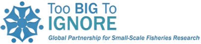 Too Big to Ignore